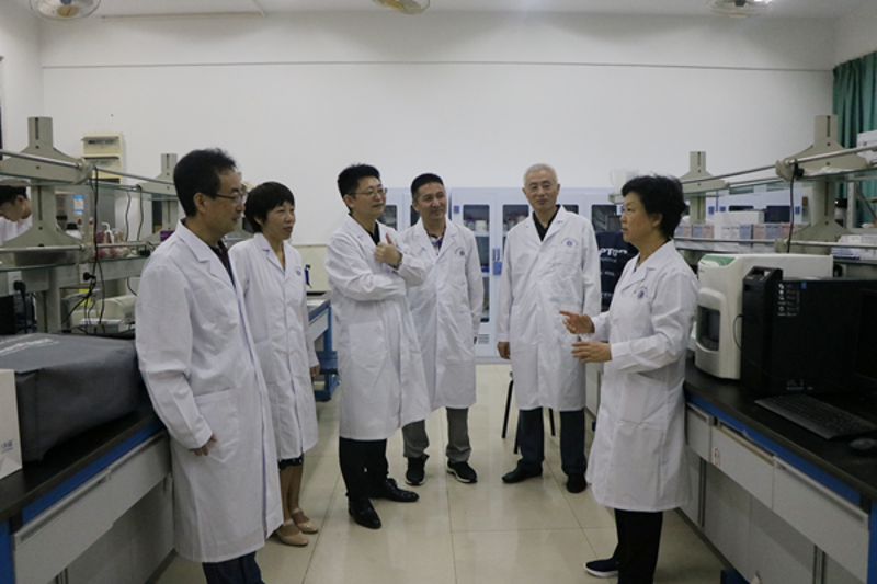 深度剖析：如何高效备考研究生考试